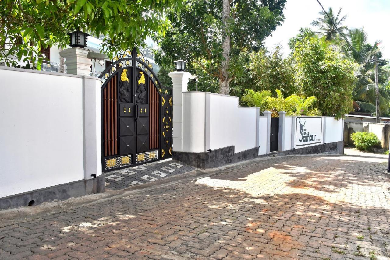 Villa De White Sambur Hikkaduwa Exterior foto