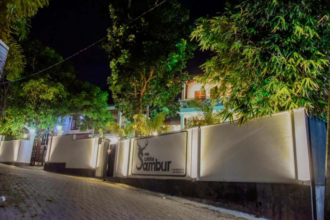 Villa De White Sambur Hikkaduwa Exterior foto